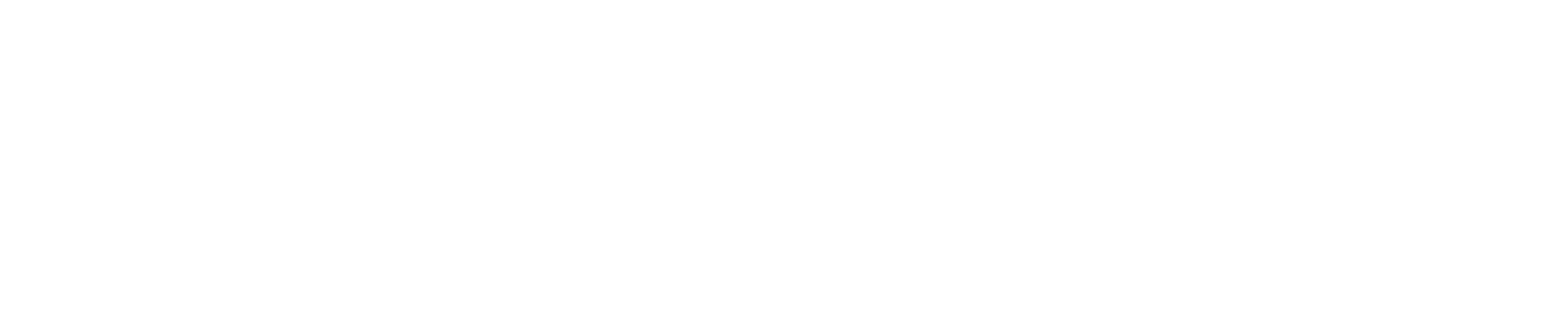 SkyVision
